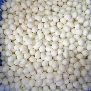EXpancell Microspheres for Making Vent Toy thumbnail-1