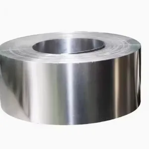 AISI 316L/En 1.4404 Cold Rolled Precise Stainless Steel Coils/Strips/Sheets/Plates thumbnail-1