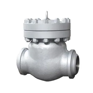 Factory Direct Sales of High-quality American Standard Butt Welding Rotary Check Valve thumbnail-2