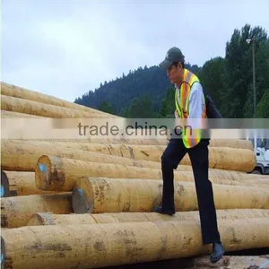 Wood Peeling Machine/wood Peeler of Best Quality thumbnail-4