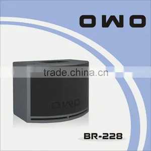 BR Series PA Loudspeaker BR-228 thumbnail-1