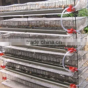 Poultry Quail Cages for Quail Faming thumbnail-1