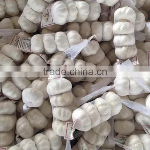 New Season Chinese Normal White Garlic thumbnail-4