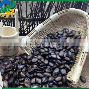 New Crop Chinese Black Watermelon Seed thumbnail-2