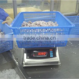 Super ABS Housing Waterproof Scale for Food Market thumbnail-5