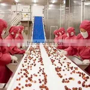 IQF Frozen Strawberry With BRC Kosher Certificate thumbnail-4
