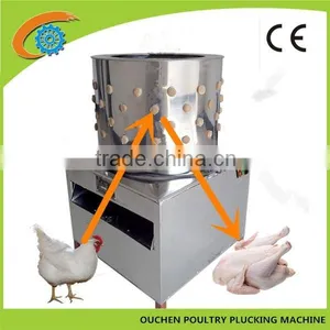 OC-50 Stainless Steel Chicken Quail Plucker Machines for Sale thumbnail-2