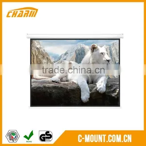 Roll up Projection Screen With Remote Control, 300" (16:9) Motorized Projection Screen thumbnail-1