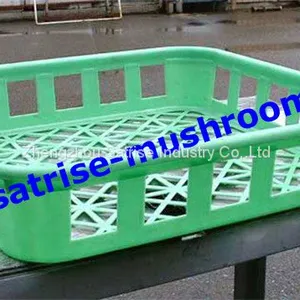 Hot Sale Safe PP Compartment Disposable Frozen Mushroom Trays thumbnail-2