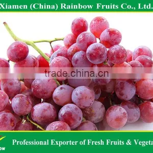 Top Quality Fresh Sweet Yunnan Red Grapes for Sell With POP SGV Brand thumbnail-1