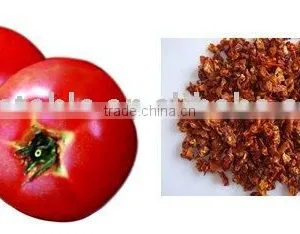 Dehydrated Tomato Powder/flakes thumbnail-1
