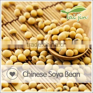 New Organic Soybean thumbnail-5