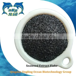 Seaweed Extract Fertilizer thumbnail-1