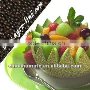 Humic Amino Acid Organic Fertilzier thumbnail-1