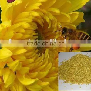 2015 Natural Fresh Rape Flower Beepollen thumbnail-3
