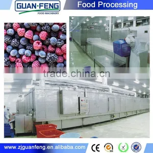 Food Processing Machinery Fast Freezing Machine Tunnel Freezer thumbnail-3