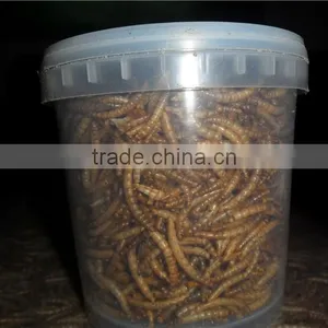 Poultry Feed Additive High Protein Mealworm thumbnail-4