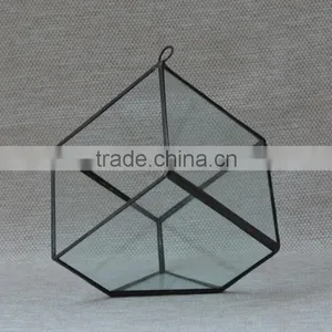 Micro Landscape Irregular Geometric Succulent Terrariums Hanging Greenhouse thumbnail-3