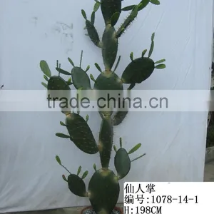Artificial Outdoor and Indoor Cactus Tree and Plants for Decoration thumbnail-3