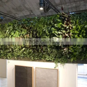 Factory Price Natural Looking Artificial Plant Wall, Vertical Artificial Green Wall,indoor or Outdoor thumbnail-5