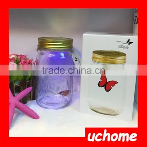 UCHOME Perfect Butterfly Wedding Gift and Factroy Price Glass Butterfly in a Jar thumbnail-6