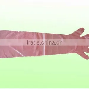Long PE Gloves for Animals/Veterinary Gloves thumbnail-1