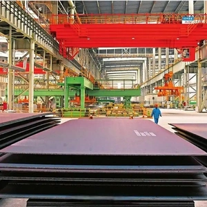 Shandong Steel Family Materials Co., Ltd company overview - view 1 thumbnail