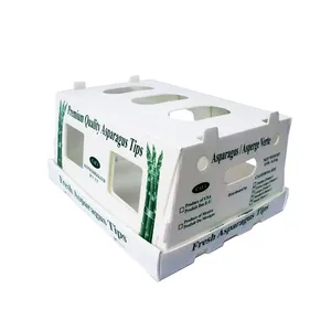 Agricultural Goods PP Corrugated Box -Sweet Corn, Cabbage,Orah Mandarin,Grape,Asparagus thumbnail-1