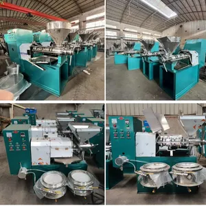 Small Scale Cooking Oil Making Machine 100 - 500 Kg Per Hour Cold and Hot Press Oil Extraction Machine Oil Press Machine for Groundnuts &Peanuts thumbnail-5