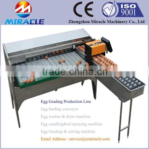 Stainless Steel Chicken Egg Grader Machine, Egg Weighter Machine, for Sorter Chicken Eggs thumbnail-1