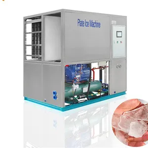Linsky 3Ton/24hr Plate Ice Machinery for Seafood Market thumbnail-3