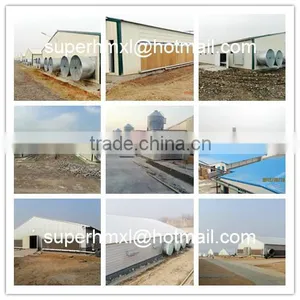 Automatic Poultry Farm Equipment for Chicken thumbnail-6