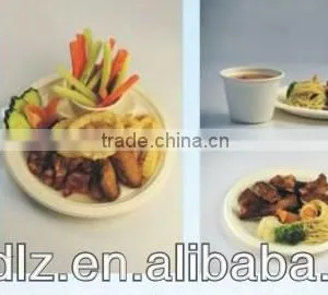 Christmas Kitchen Dinner 100% Compostable Biodegradable Food Packaging Disposable thumbnail-1