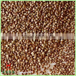 Common Cultivation Type Brown Color Roasted Buckwheat Wholesale thumbnail-6