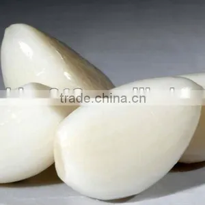 Automaticaly Stainless Steel Garlic Peeling Machine thumbnail-1