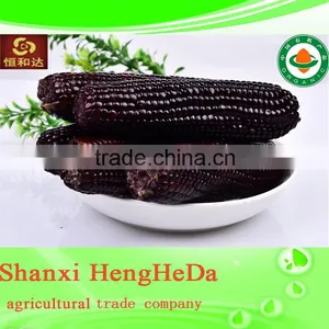 National Flag Perfect Corn thumbnail-4