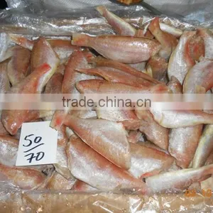 FROZEN SEA BREAM thumbnail-2