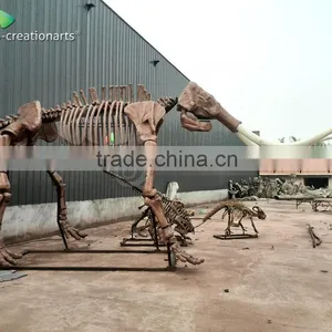 Fiberglass Animal Skeleton Model of Mammoth thumbnail-3