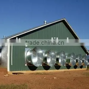 Industry Professional Chicken Shed for Egg Hens Layer thumbnail-1