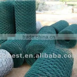 Plastic Coated Chicken Wire Mesh thumbnail-1