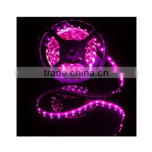 LED Strip Light 5050 60 thumbnail-1