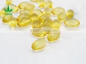 GMP Health Food Evening Primrose Oil Softgel Capsules thumbnail-1