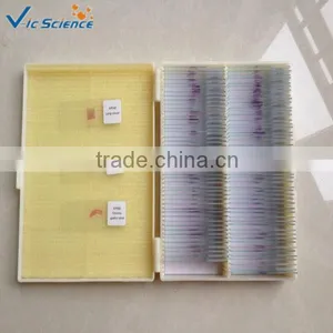 Microscope Slides Set Beginners Slides Set thumbnail-1