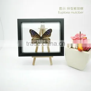 FOUSEN(039) Nature& Art Natural Species Glass Craft thumbnail-1