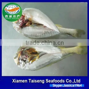 Frozen Seafood Frozen Yellow Croaker, Yellow Croaker Fish Price thumbnail-5