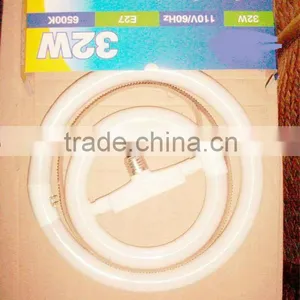 22w Electronic Ballast for T9 thumbnail-1