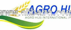 Pakistani White Rice 5% Broken 100% Sortex thumbnail-1