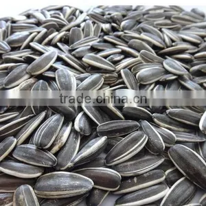 Supply All Kinds Of Sunflower Seeds thumbnail-4