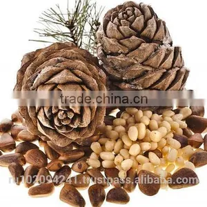 High Quality Pine Nuts From Russia thumbnail-1