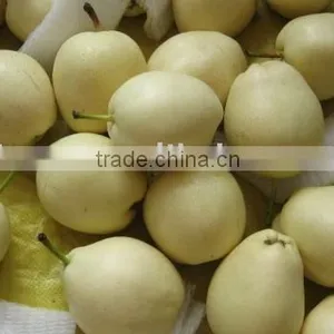 Pear/fresh Pear thumbnail-1